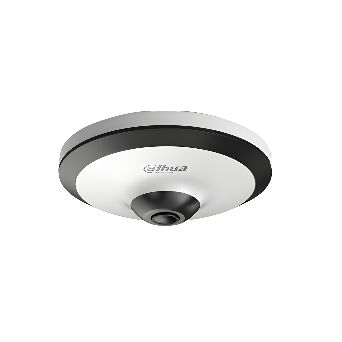 Cámara de seguridad Hdcvi Dahua Fisheye 5mp ir10m mic wdr hac-ew2501n